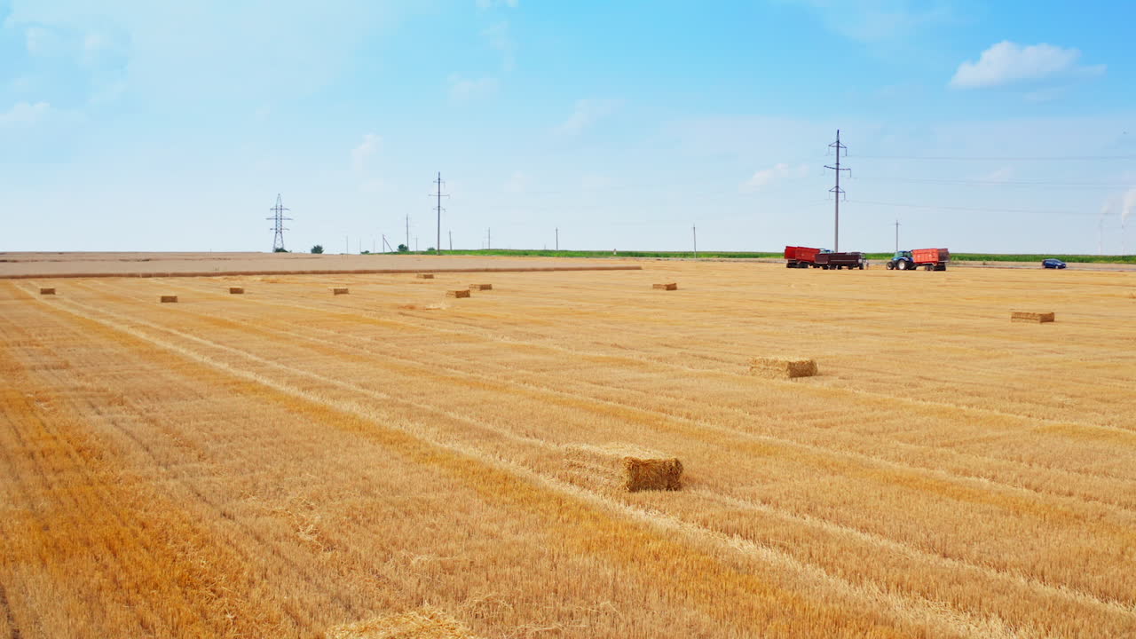 Agricultural activity in the wheat farmlands on harvesting season. Dry straw packed in bales left on the mowed field.