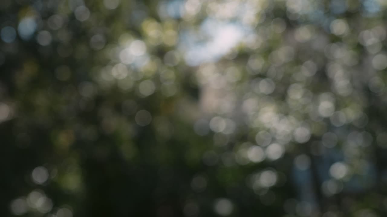 bokeh abstracto suave fuera de foco árboles inclinados hacia arriba, cámara lenta 4k