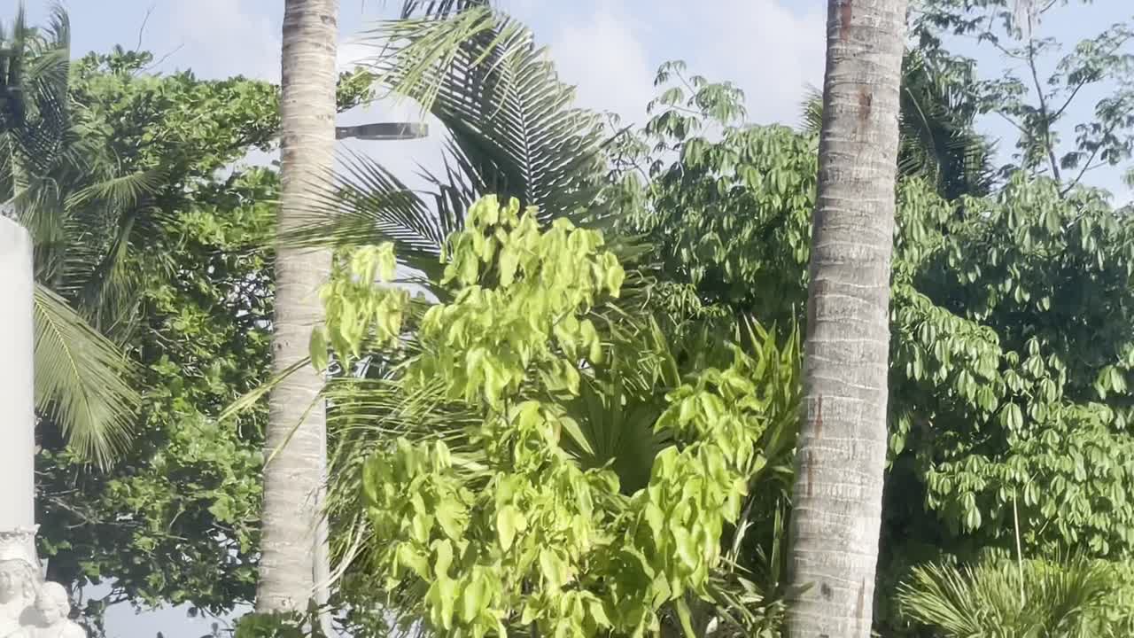 멕시코 플라야 데 카르멘 칸쿤 휴가 여행