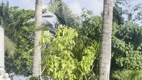 viaje de vacaciones en playa del carmen cancún en méxico