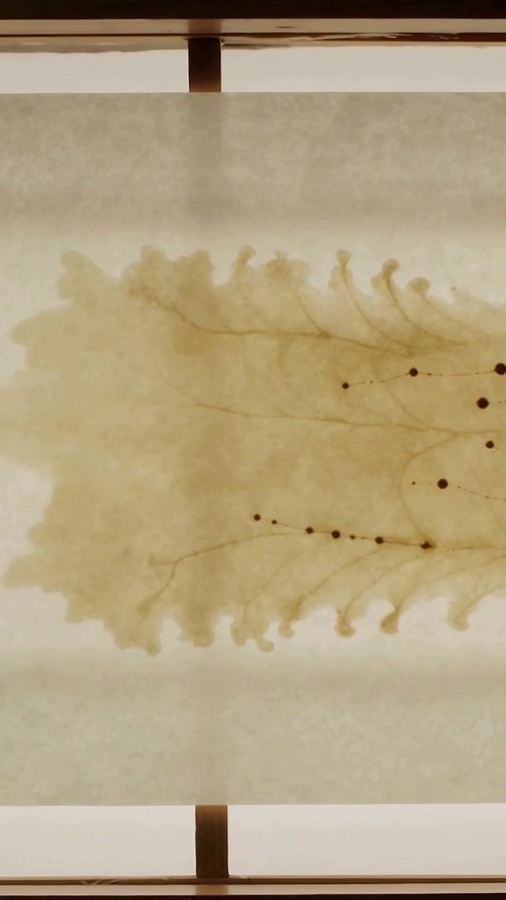 Vertical video: Entering leaf moving left from right across backlit shoji screen, showing wood slat