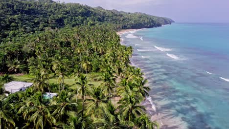 propriété de luxe en bord de mer au milieu des palmiers sur la côte idyllique des caraïbes