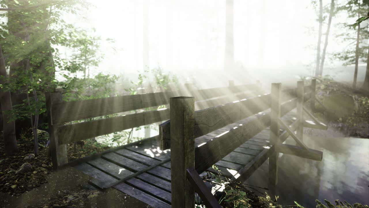 Mysterious wooden bridge under ethereal sunlight in a tranquil forest