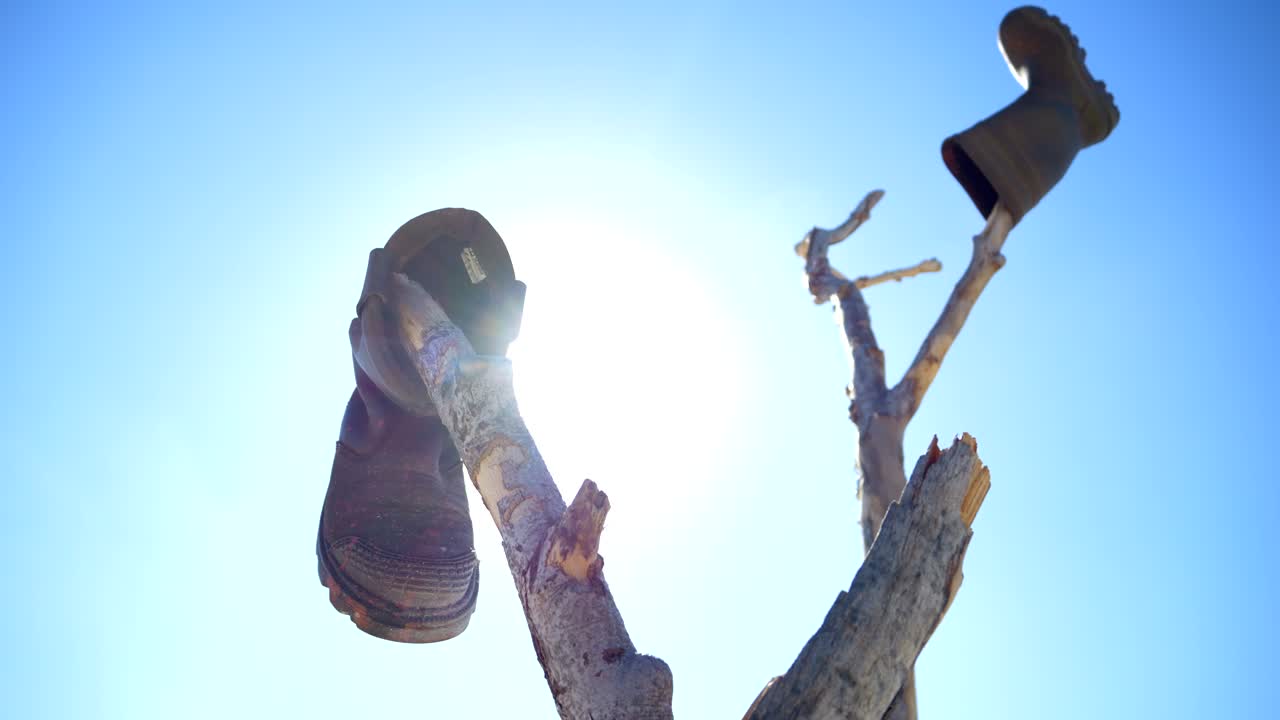 나무 가지 에 매달려 있는 고무 부츠 를 통해  ⁇ 빛 이 비추고 있다