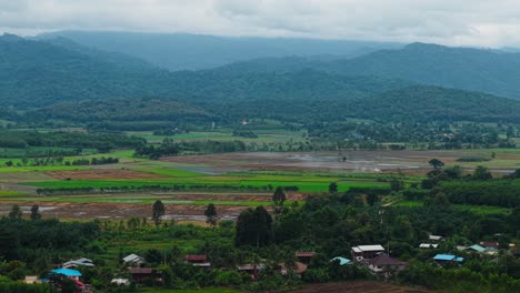 panoramic view of a rural valley with rice paddies and mountains