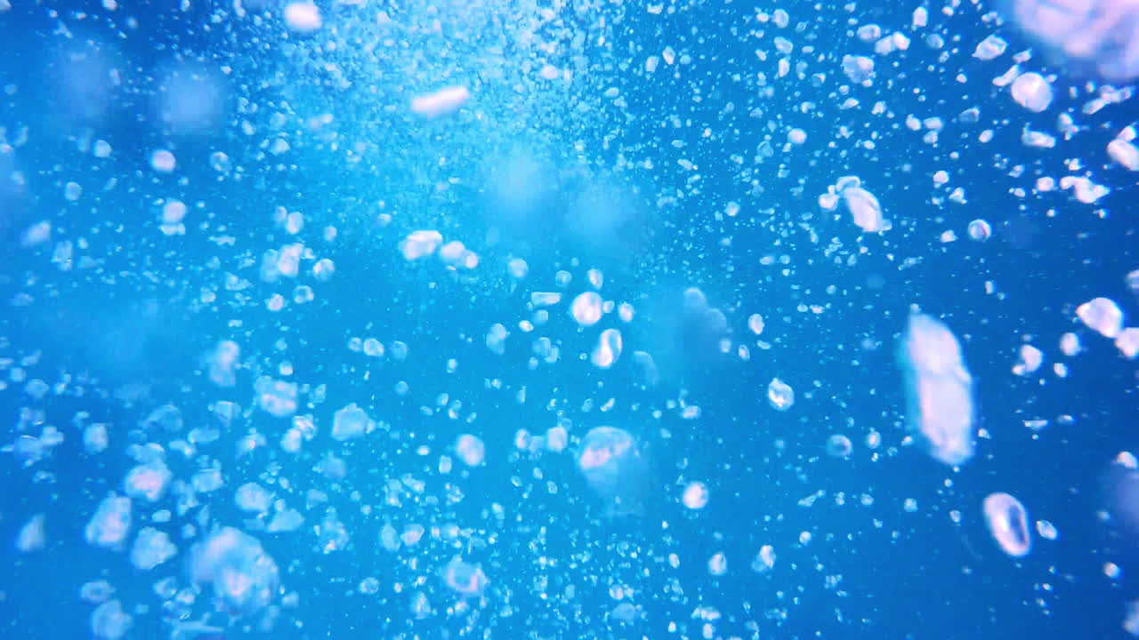 깊은 바다는 어떤 비밀을 숨기고 있을까요?