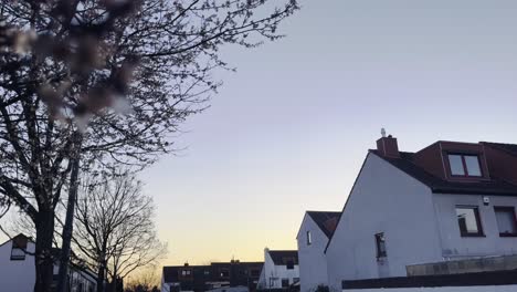 housing estate in germany at sunset with beautiful sky and flowering trees on the side of the small street