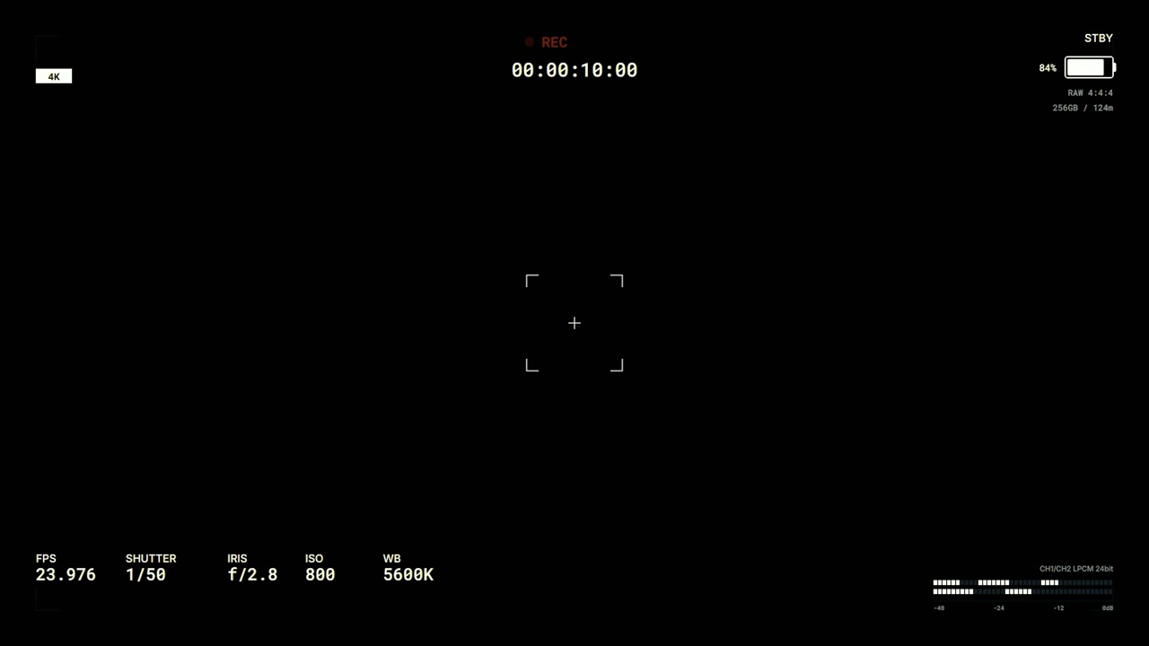 Digital Camera Viewfinder Interface with Recording Overlay