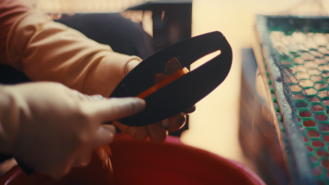 Gloved worker carefully peels a ripe persimmon with a knife over a red bowl, food preparation scene