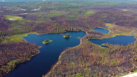 Beautiful-aerial-shot-of-a-landscape-of-forests-and-lakes