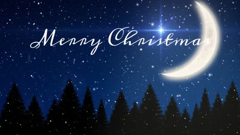 animation of christmas greetings text over snow falling in winter scenery