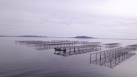 Aerial-shot-of-a-shellfish-farm-with-structures-with-ropes-submerged-in-the-sea-bay