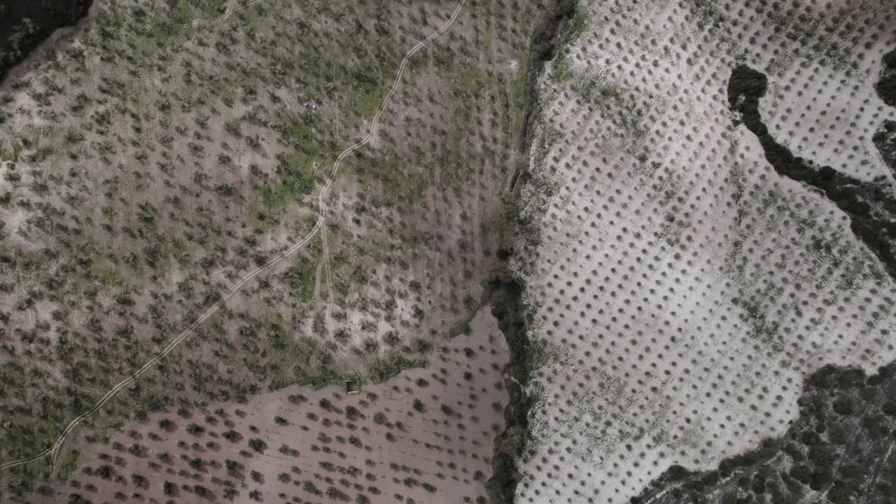 Top-down 4K aerial view of Olvera, Spain, filmed with a DJI drone at 30fps. A stunning cinematic shot capturing the vast meadows and natural beauty of the Spanish countryside.