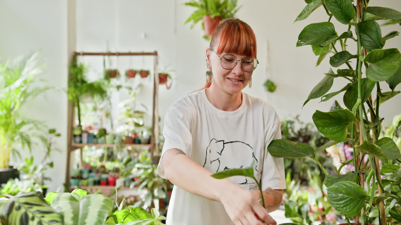 온실 에서 실내 식물 을 돌보는 여자