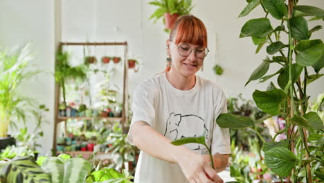 mujer cuidando de plantas de interior en un invernadero