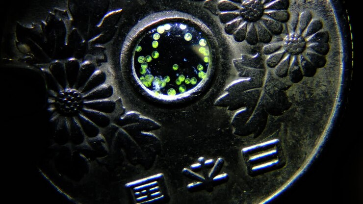 Microscopic View of Algae or Plankton in a Coin's Center Hole