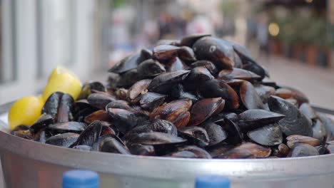 fresh mussels on display at a street market