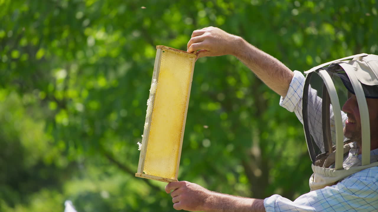 Bee farmer is holding half-filled honey comb in frame at the light. Man smiling satisfactory when checking honey harvest. Nature background.