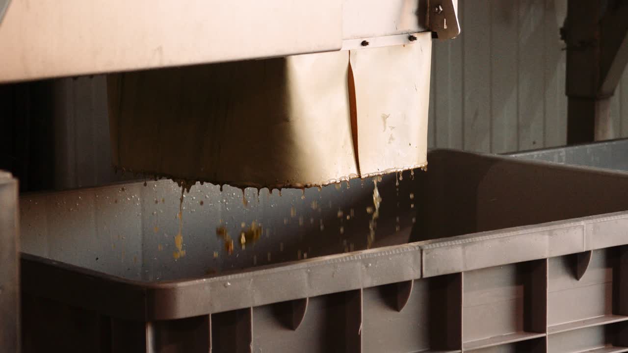 Harvested wine grapes and juice collected in big plastic bin at cellar