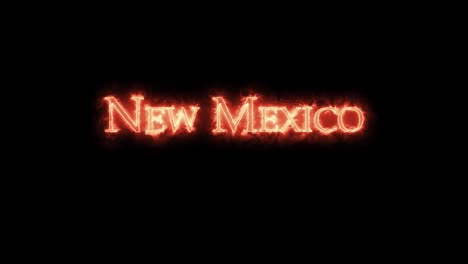 new mexico written with fire. loop