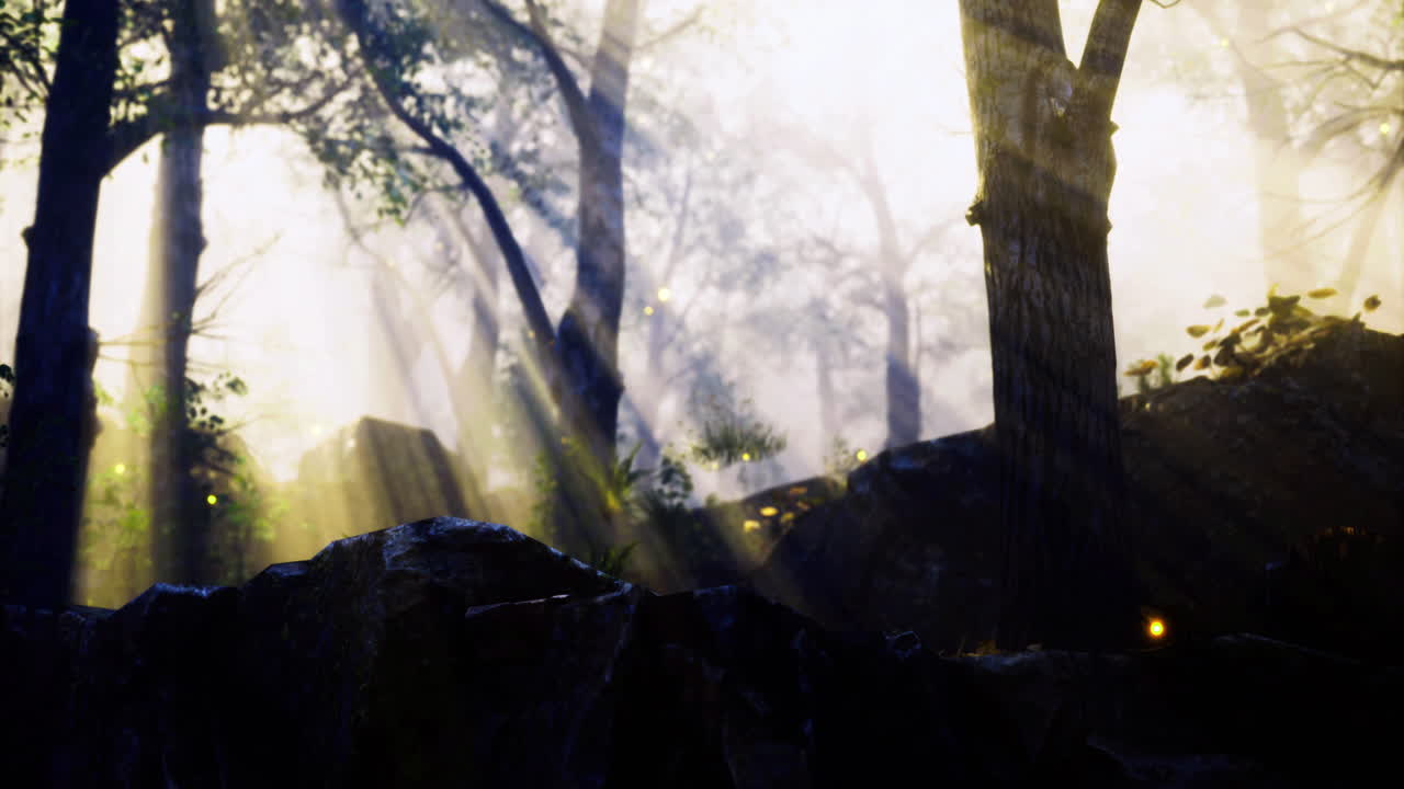 Mysterious forest illuminated by sunlight with fog and shadows