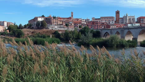 small island in the middle of the river