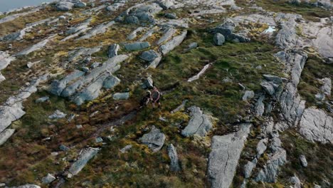 Hombre-Paseando-A-Su-Perro-En-La-Carretera-Costera-De-Peregrinación-En-La-Montaña-Bla-Heia,-Noruega---órbita-De-Drones