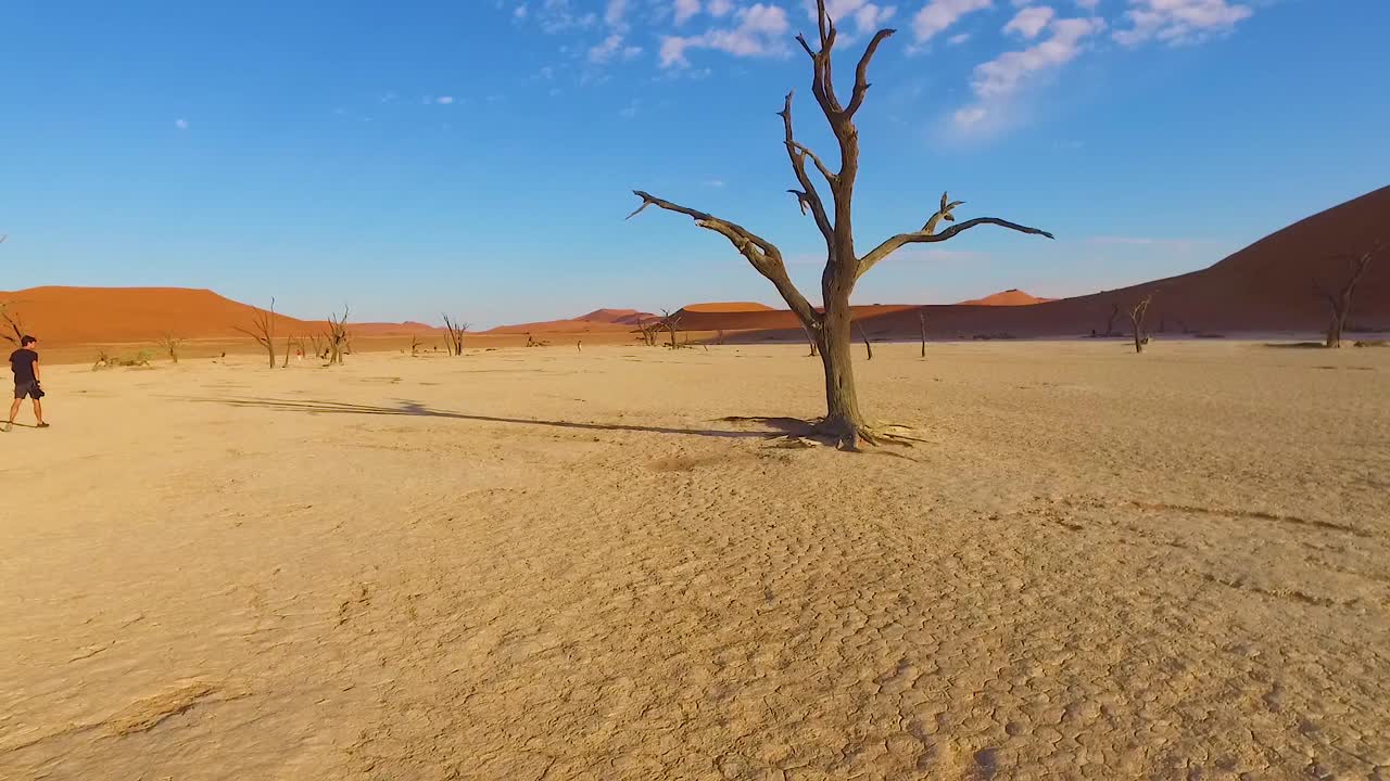 toma en movimiento a través de los árboles muertos sossusvlei y las dunas de arena en namibia áfrica 1