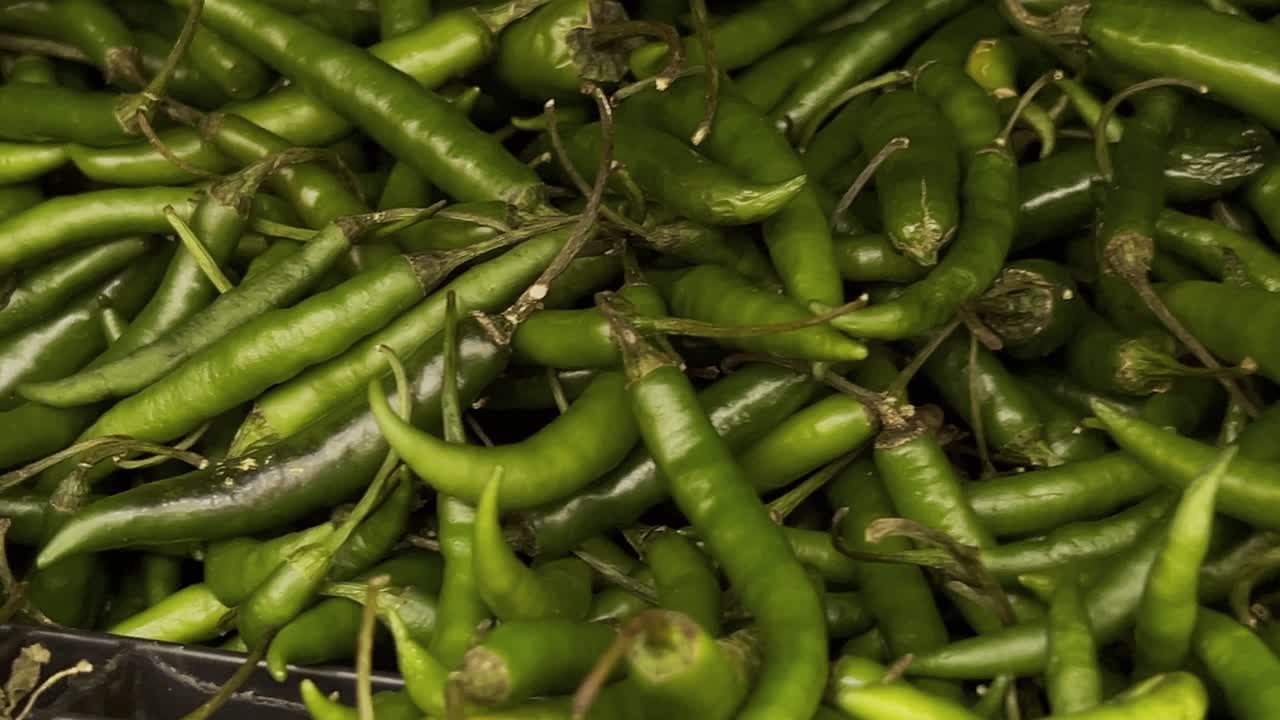 Pan left view of amount of spicy green jalapenos