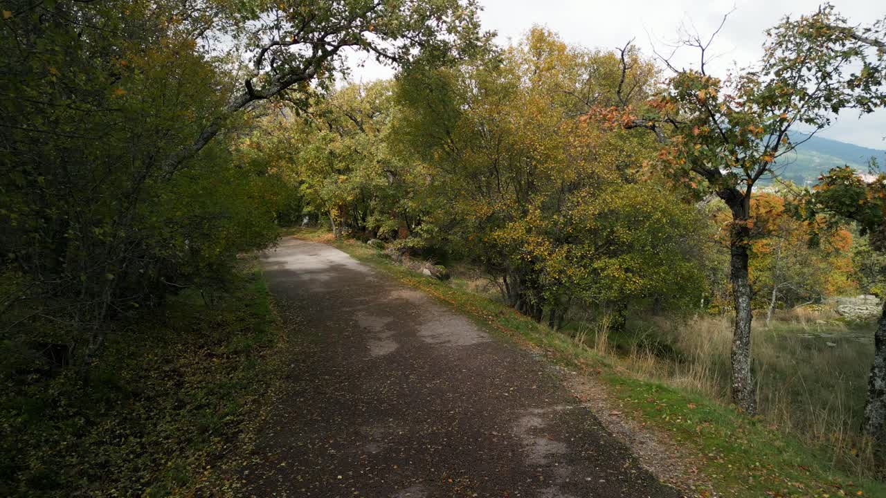 POV Walking Along a Path Through an Autumn Forest