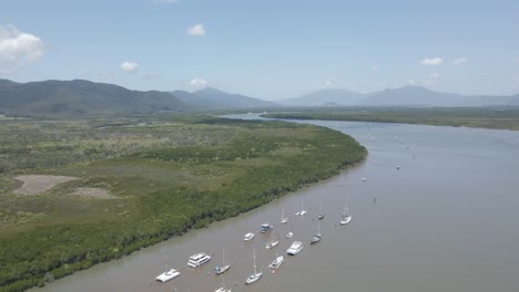 row of boats anchored at chinaman creek with trinity forest reserve - nature reserve near cairns, australia