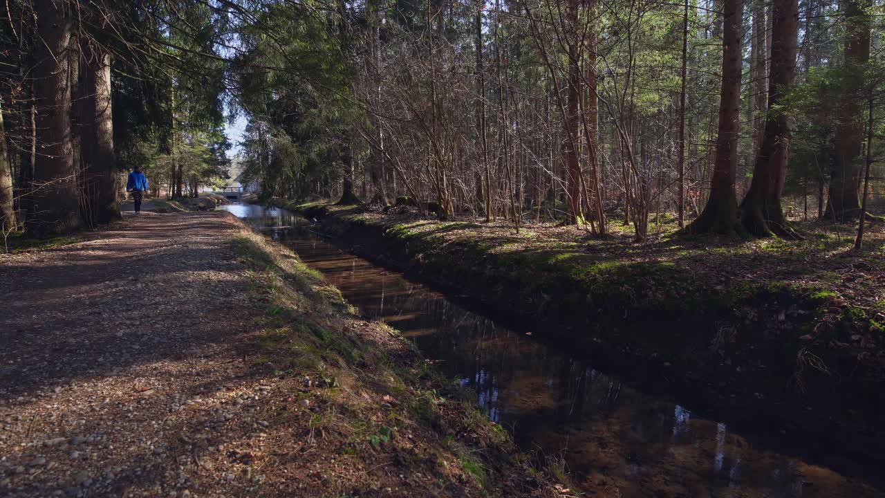 un hombre camina junto a un arroyo idílico en medio de un bosque mientras el sol brilla a través de los árboles