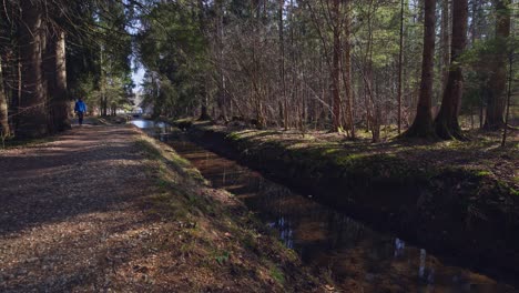 A-man-is-have-a-walk-next-to-an-idyllic-creek-in-the-middle-of-a-forest-while-the-sun-is-shining-through-the-trees