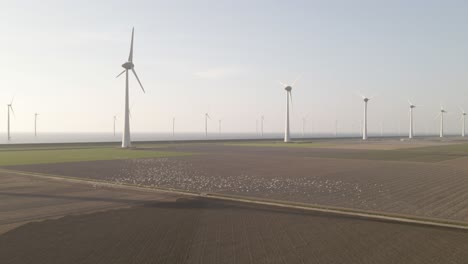 A-big-flock-of-birds-flying-over-farm-fields-with-wind-turbines-in-the-background,-agriculture-in-Holland