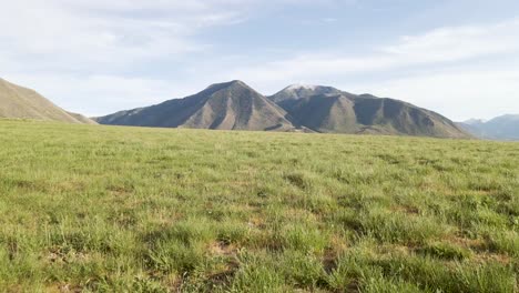 beautiful grass meadow with gorgeous mountain nature backdrop - aerial