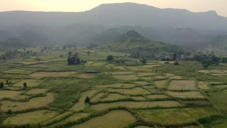 Aerial-View-Of-Rice-Paddy-Fields-In-The-Town-Of-Karjat-In-India---drone-shot