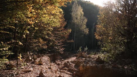 Equilibrio-De-Piedra-En-Un-Arroyo-Seco-En-Un-Bosque-De-Otoño