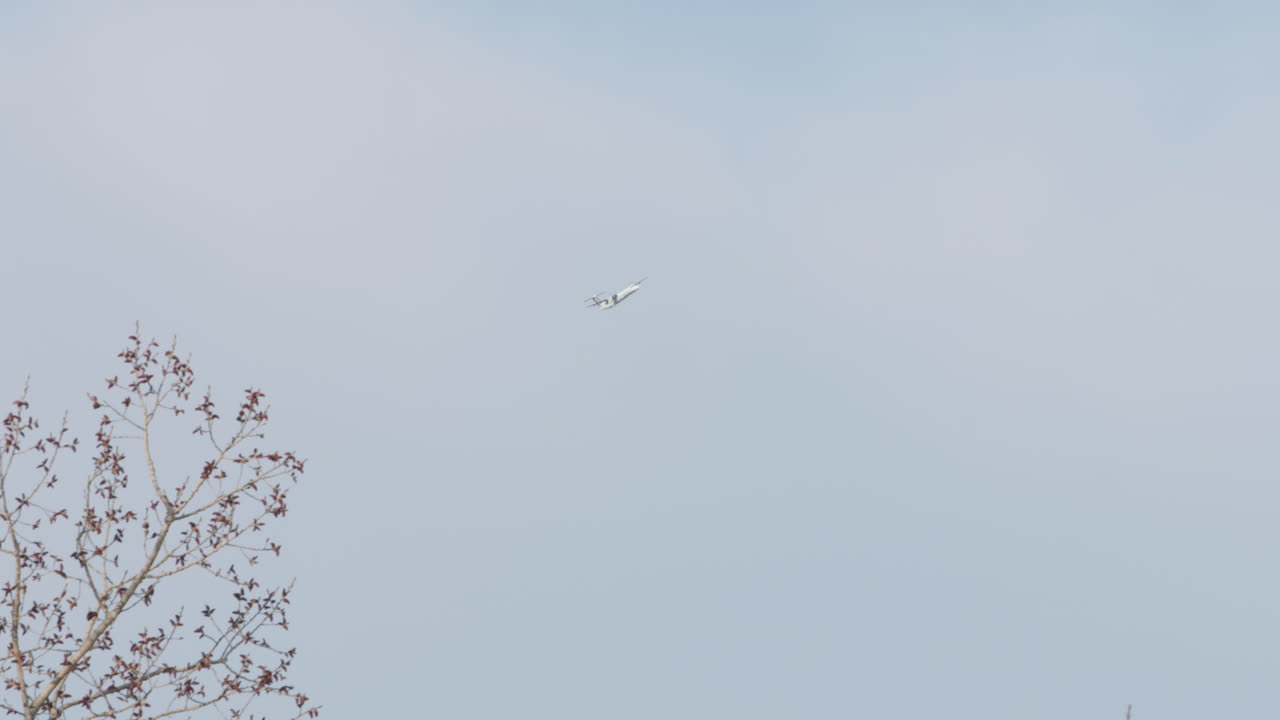 하늘 에 있는 비행기