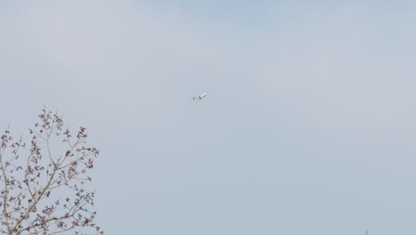 avión en el cielo