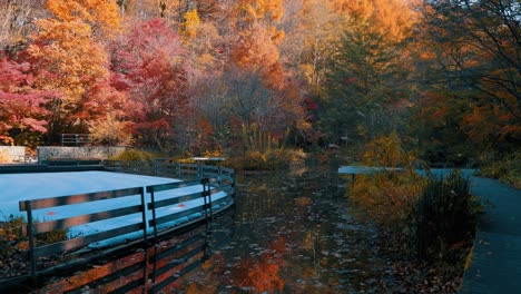 belo parque de outono, folhas e árvores coloridas