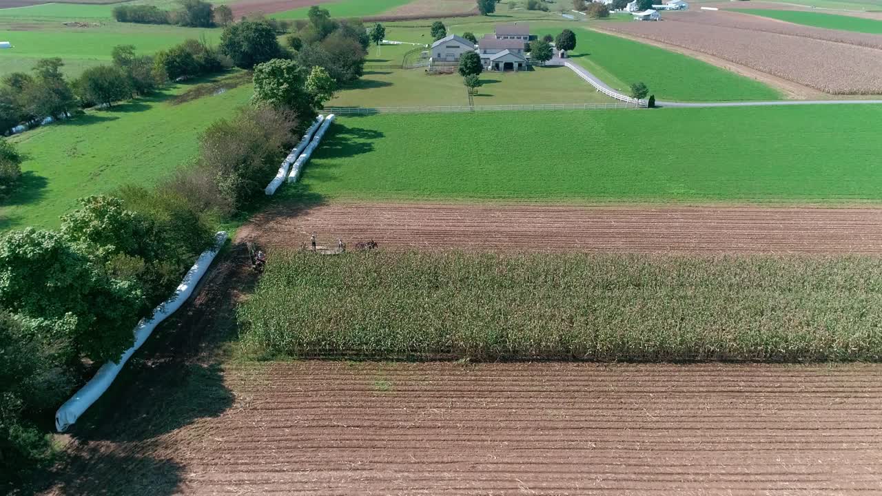 드론으로 본 가을 작물을 수확하는 아미쉬 농부들