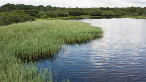 AERIAL---Marshland-around-Killarney-National-Park-and-Muckross-Lake,-Ireland