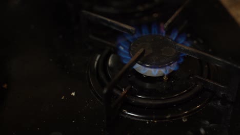 closeup shot of blue fire from domestic kitchen stove top. gas cooker with burning flames of propane gas. industrial resources and economy concept