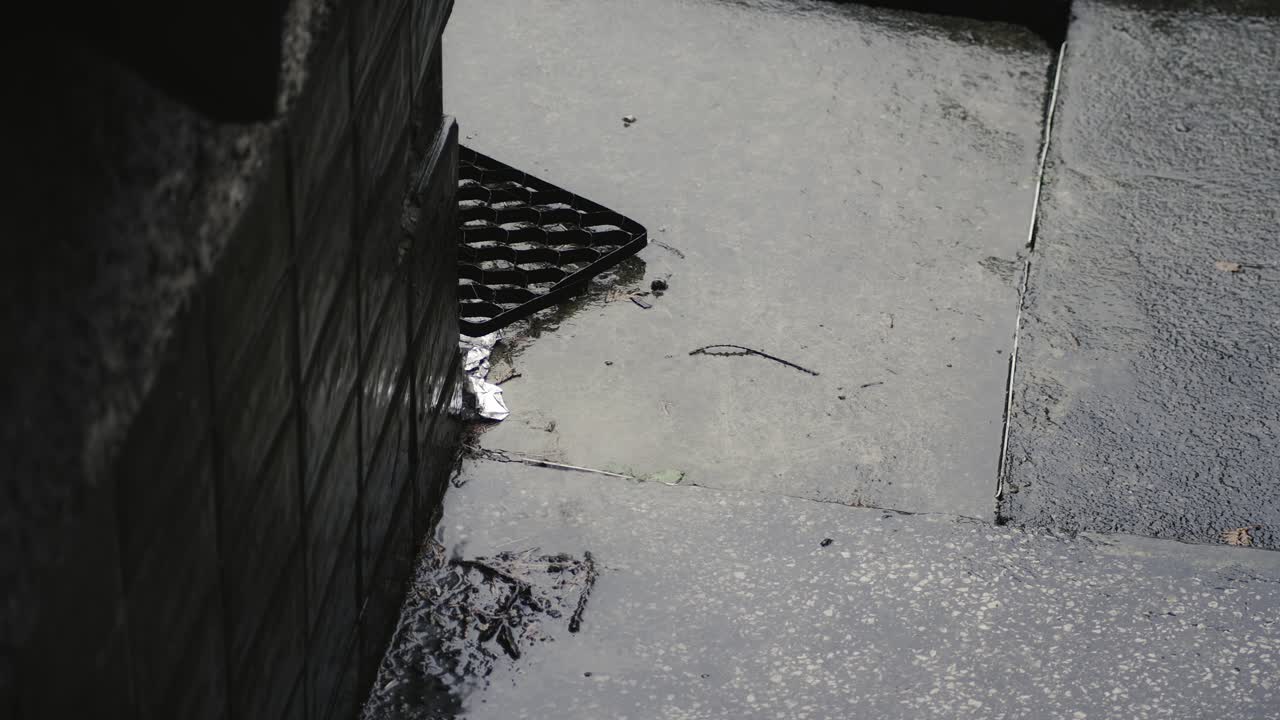 Rainy day darkens patio paving highlighting white waste paper litter