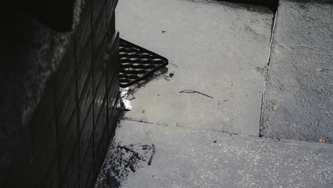 rainy day darkens patio paving highlighting white waste paper litter
