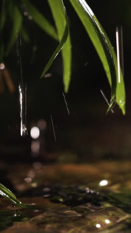 plantas en la orilla del río