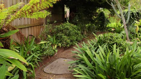 un paseo tranquilo a través de la exuberante vegetación del jardín