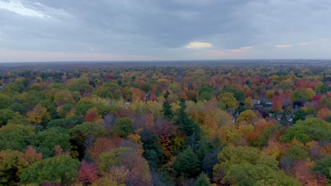 aerial shot near a residential neighbourhood with lots of beautiful and colourful trees