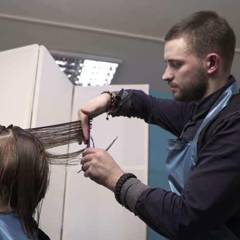 peluquero cortando el cabello