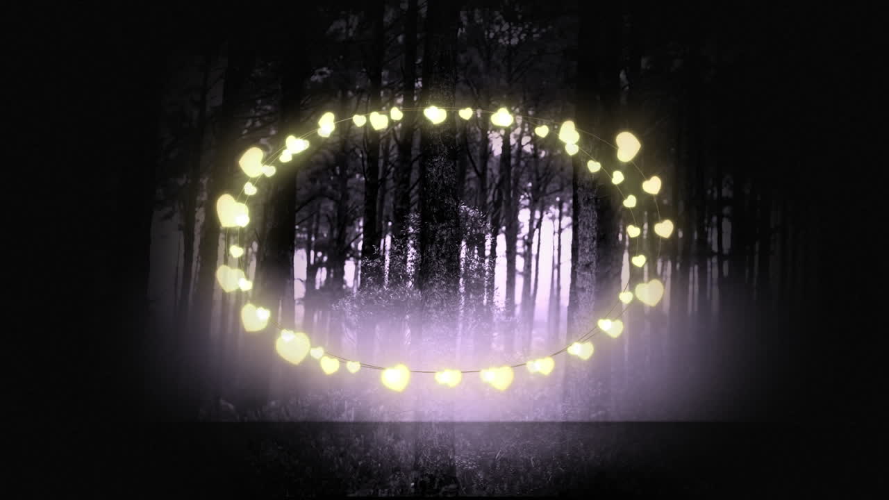 숲 속 의 여러 나무 들 을 배경 으로 노란색 으로 빛나는 장식적 인 요정 빛